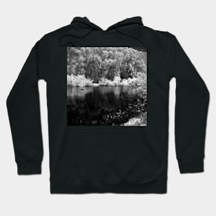 Pine Lake Hoodie